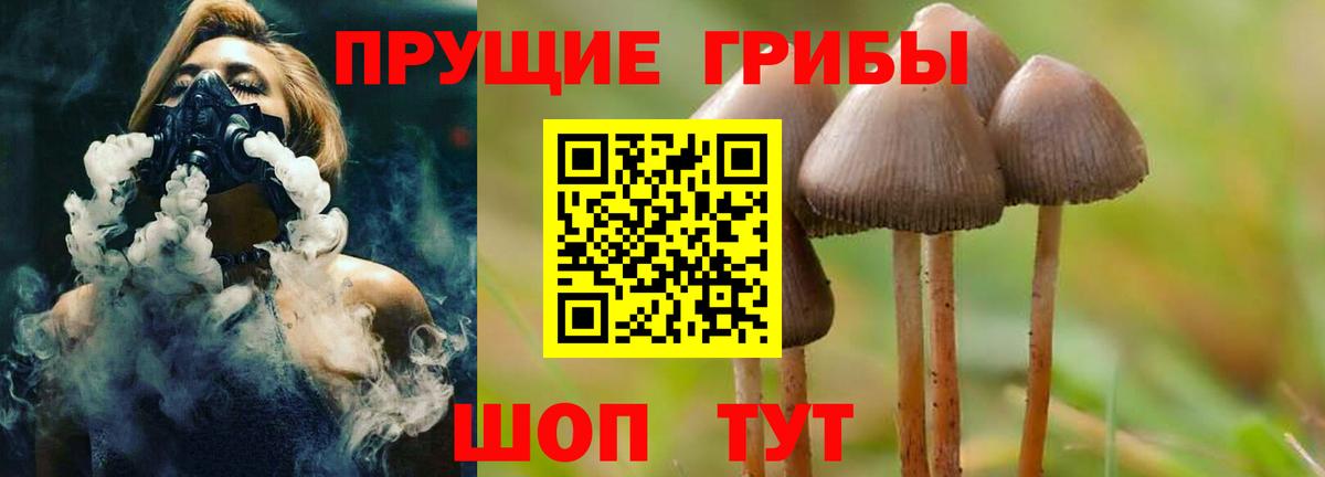 Галлюциногенные грибы GOLDEN TEACHER  Вход с VPN  Кохма 